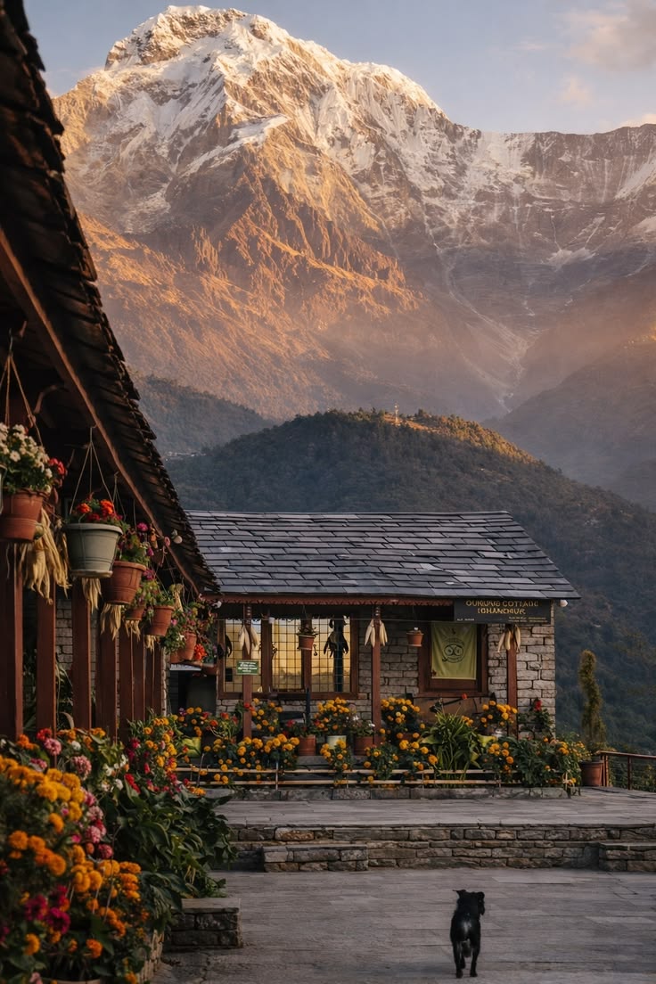 Top Wedding Destinations in India